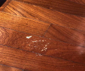 彩钢瓦油漆榴莲APP下载污